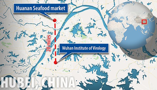 The Wuhan National Biosafety Laboratory is located about 20 miles away from the Huanan Seafood Market