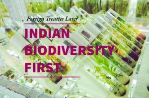 Indian Biodiversity First, Foreign Treaties Later