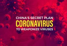 中国冠状病毒武器化的秘密计划