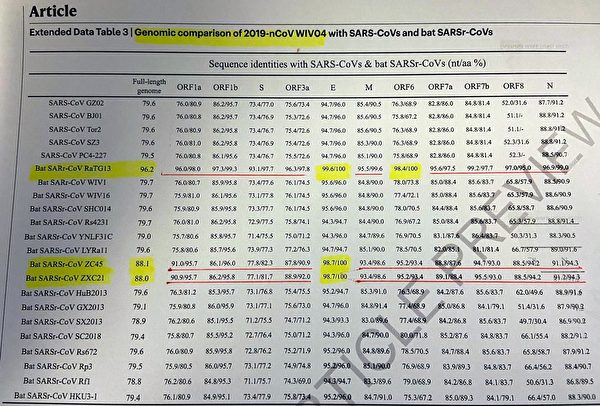 The yellow highlight shows that the overall homology between the new horseshoe bat virus and Wuhan virus has reached 96.2%, and the E protein has reached 100% consistency.