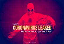 BOMBSHELL REPORT: How Coronavirus Leaked From Wuhan Laboratory How Coronavirus leaked from Wuhan laboratory