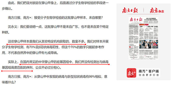 Screenshot of Nanfang Daily report