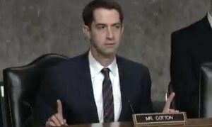 US Senator Tom Cotton Questions Mainstream Media's Narrative On Coronavirus Origin