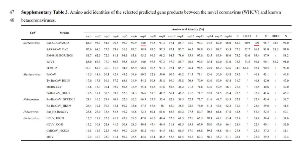 A paper submitted by Zhang Yongzhen and others to the journal Nature showed that the similarity between E-protein of Wuhan New Crown Virus and Zhoushan Bat CoVZC45 virus was as high as 100%. (Screenshot of Nature paper)