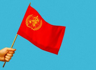 Chinese Alternative To WHO Chinese alternative to WHO