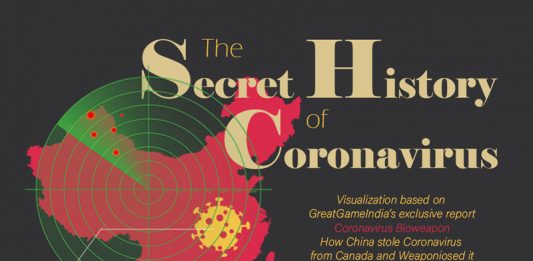 Infographic Secret History of Coronavirus