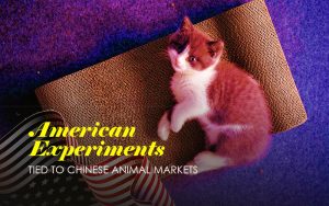 Secret American Experiments Tied To Chinese Animal Markets