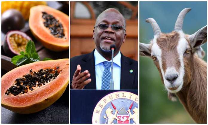 Tanzania Kicks Out WHO After Goat & Papaya Samples Came COVID-19 Positive