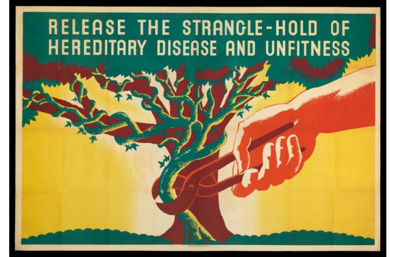 A poster published by the Eugenics Society-Galton Institute in the 1930S