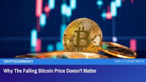 Why The Falling Bitcoin Price Doesn't Matter