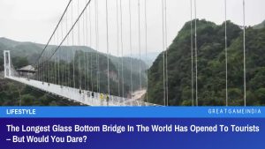 The Longest Glass Bottom Bridge In The World Has Opened To Tourists – But Would You Dare?