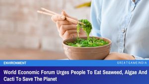 World Economic Forum Urges People To Eat Seaweed, Algae And Cacti To Save The Planet