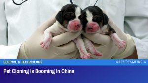 Pet Cloning Is Booming In China