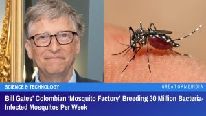 Bill Gates Colombian Mosquito Factory Breeding 30 Million Bacteria-Infected Mosquitos Per Week