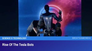 Rise Of The Tesla Bots