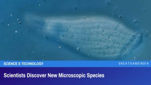 Scientists Discover New Microscopic Species