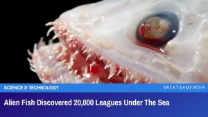 Alien Fish Discovered 20,000 Leagues Under The Sea