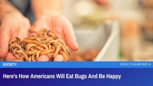 Heres-How-Americans-Will-Eat-Bugs-And-Be-Happy