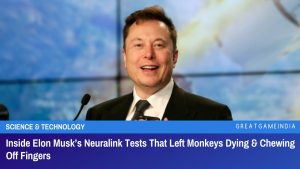 Inside Elon Musk’s Neuralink Tests That Left Monkeys Dying And Chewing Off Fingers