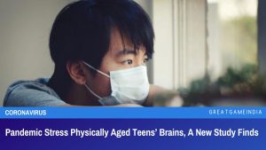 Pandemic Stress Physically Aged Teens Brains A New Study Finds