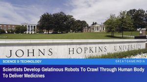 Scientists Develop Gelatinous Robots To Crawl Through Human Body To Deliver Medicines