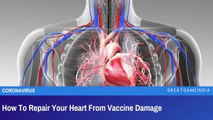 How To Repair Your Heart From Vaccine Damage