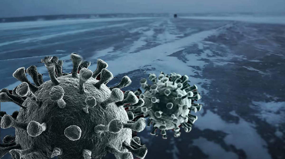 Scientists Revive 'Zombie' Virus Which Spent 48,500 Years Frozen In ...