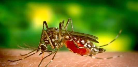 CIA's Secret Mosquito Experiments In India