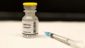 Vaccine Stocks Erupt After Bird Flu Cases Reported In US & Australia 1