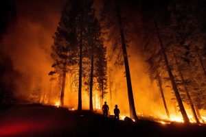 Visualizing Four Decades Of US Wildfires 1