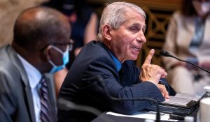 Explosive Report: How Fauci Fed Lies To Journalists On Gain-Of-Function Research 1