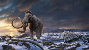 Major DNA Breakthrough Could Lead To Woolly Mammoth Resurrection 1