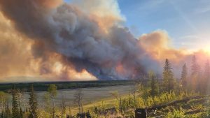 NEW STUDY: How Wildfire Smoke May Be Increasing Dementia Cases 1