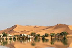 Rare Rainfall Transforms Sahara Desert And Revive Ancient Lake 1