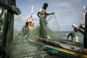 Why Senegal’s Fishing Waters Are Now Off-Limits To European Vessels 1